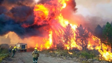 Patagonia bajo fuego: el verano en que el bosque nativo y sus habitantes perdieron la resistencia