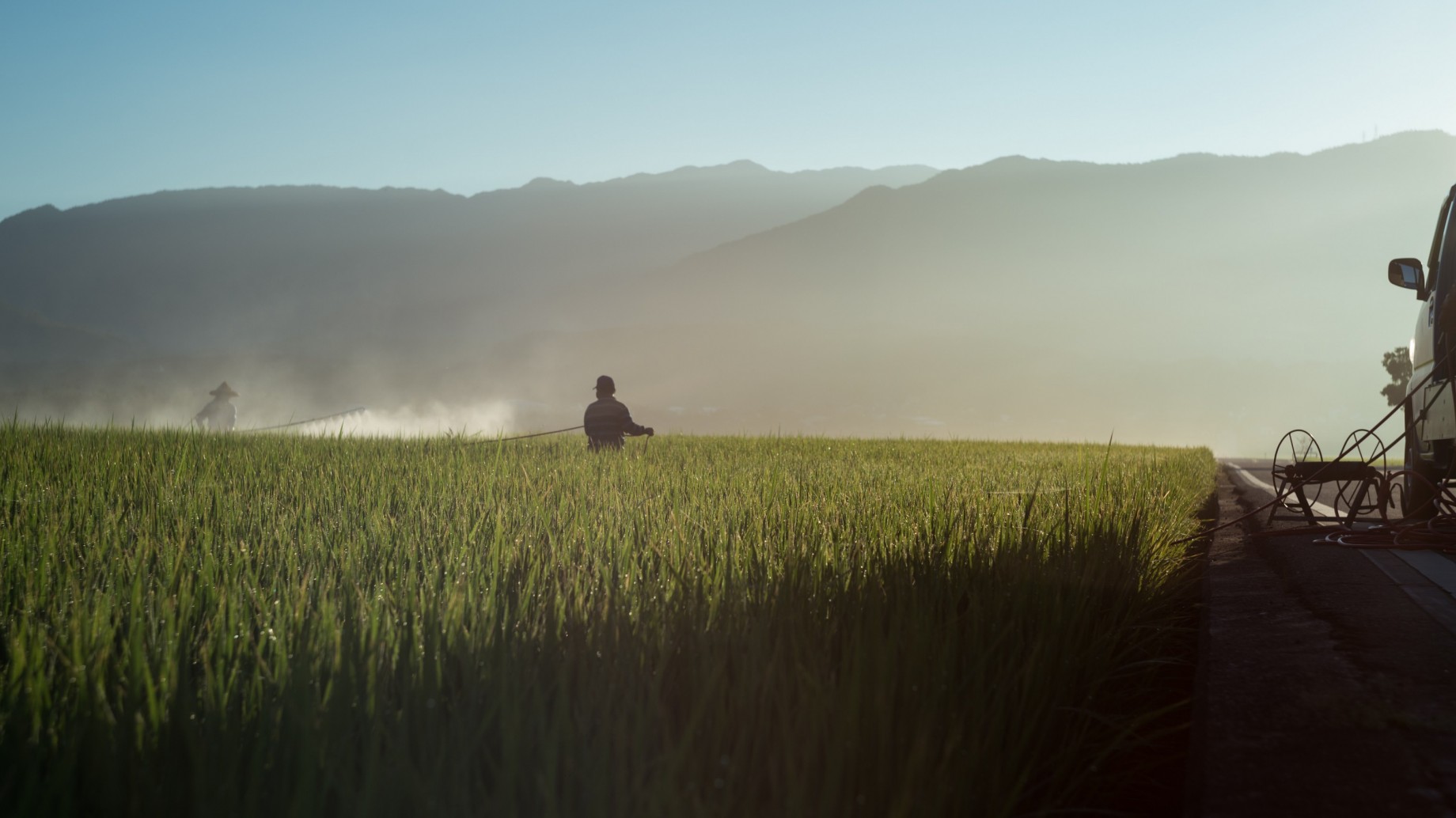 Por decreto presidencial, México prohibió el glifosato y el maíz transgénico