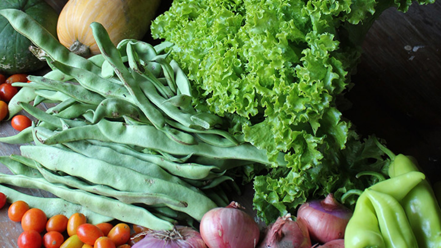 El comercio justo como una nueva forma de producción y consumo