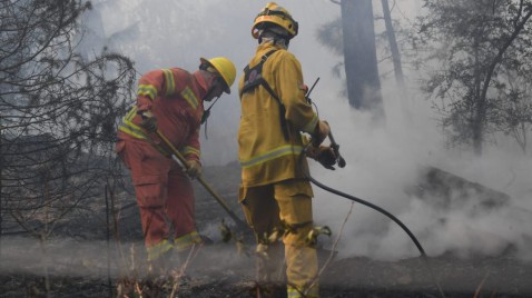 Peligran montes nativos y especies autóctonas debido al fuego en Guasapampa