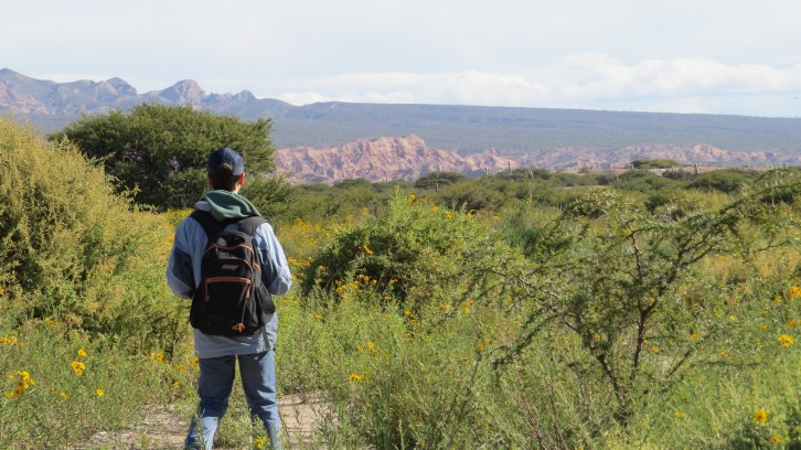 La Escuela Argentina de Naturalistas abre su inscripción para el ciclo 2026