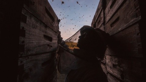 La muerte de millones de abejas despierta el debate sobre pesticidas en Uruguay