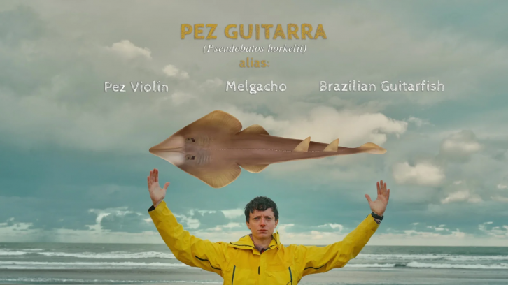 El cine de impacto llega a Buenos Aires con la historia del pez guitarra